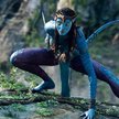 Na’vi to stworzeni cyfrowo ludzie koty