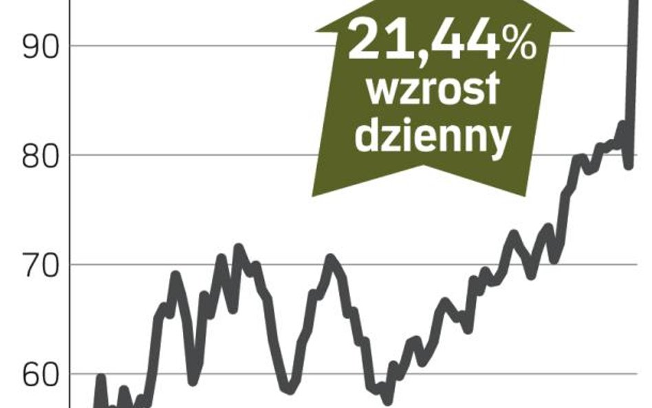 Dobry kwartał, jasna przyszłość