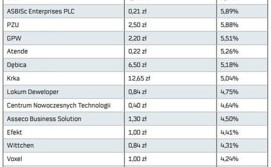 "portfel dywidendowy"