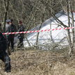 Apel Strasburga do Rosji: Oddajcie Polsce wrak Tu-154M