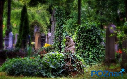 Zabytkowy cmentarz położony w dzielnicy Jeżyce, u zbiegu ulic Nowina i Szpitalnej w Poznaniu. Obecni