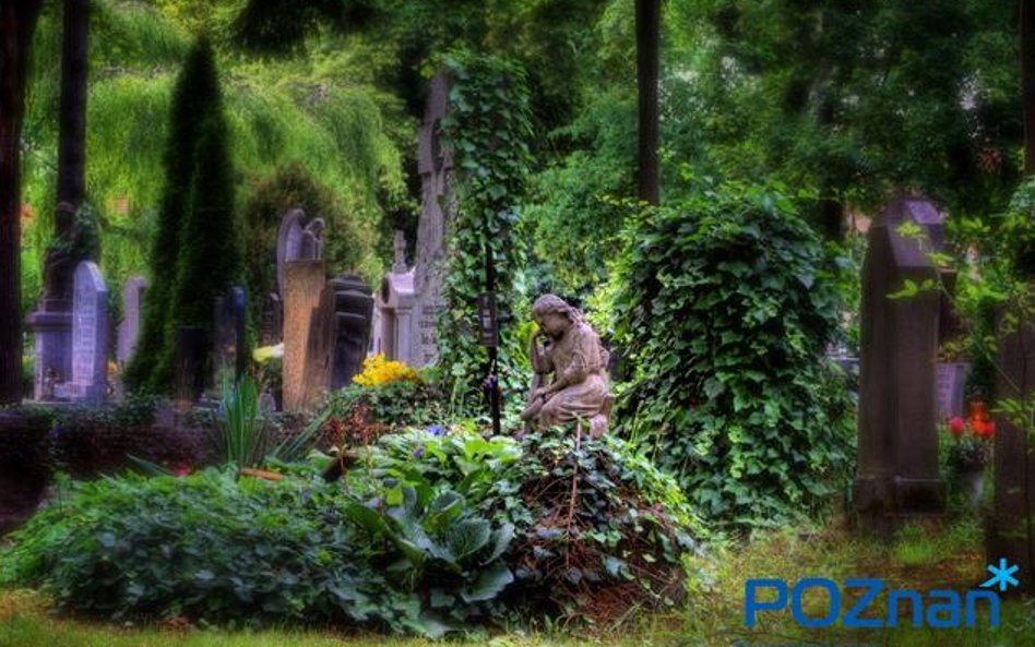 Zabytkowy cmentarz położony w dzielnicy Jeżyce, u zbiegu ulic Nowina i Szpitalnej w Poznaniu. Obecni