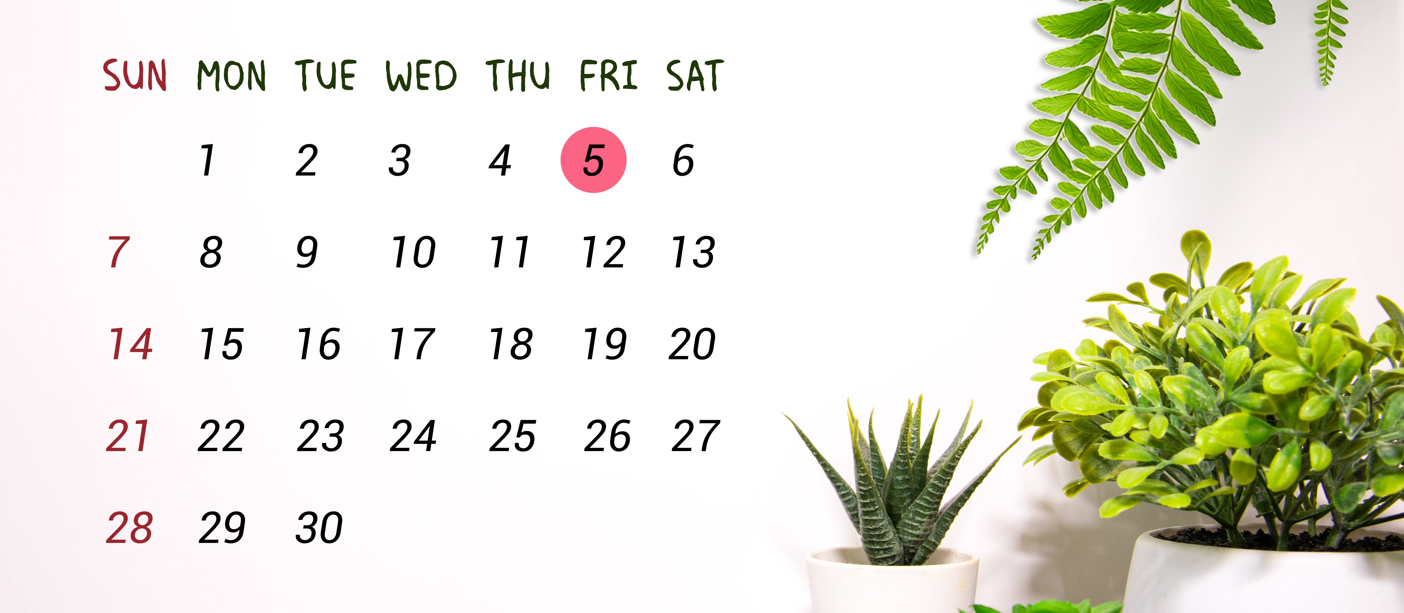 Wydarzy się dziś. Kalendarium wydarzeń na rynkach w dniu 05.09.2025