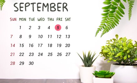 Wydarzy się dziś. Kalendarium wydarzeń na rynkach w dniu 05.09.2025