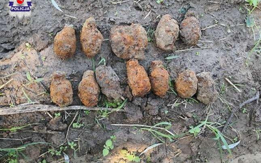 Mieszkanka gminy Zamość podczas spaceru znalazła trzy granaty z czasów wojny. Saperzy odnaleźli tam 