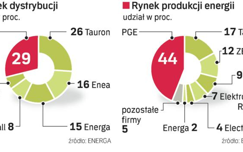 najwięksi producenci i dystrybutorzy energii