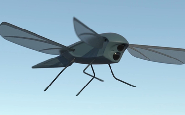 Projekt drona-ważki Animal Dynamics