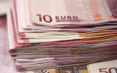 Polski biznes nie pali się do euro. Przybywa przeciwników