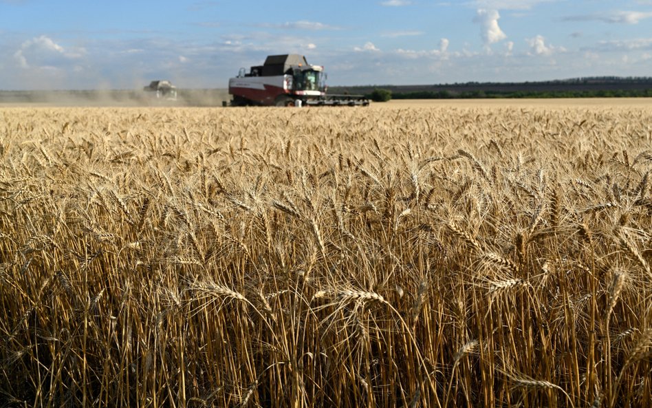 88 Kombajny zbierają pszenicę na polu w rejonie koszarskim w obwodzie rostowskim w Rosji