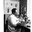 W 1948 r. władze komunistyczne udaremniły plany przyznania prof. Rudolfowi Weiglowi (1883–1957) Nagr