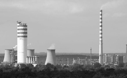 Puławy z wyłącznością na rozmowy o Anwilu