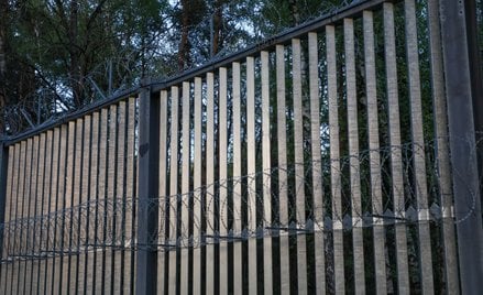 Podczas kontroli busa przemieszczającego się od granicy z Białorusią funkcjonariusze znaleźli podrob