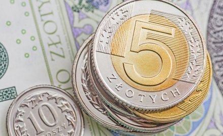 Szokujące dane o zarobkach w polskich firmach