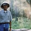 Niektórzy krytycy filmowi uważają czarną komedię Martina Scorsesego „Po godzinach” (1985) za nowojor
