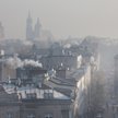 Zakaz spalania paliw stałych, czyli drewna i węgla, obowiązuje w Krakowie od 1 września 2019 r. Czy 