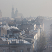 Zakaz spalania paliw stałych, czyli drewna i węgla, obowiązuje w Krakowie od 1 września 2019 r. Czy 