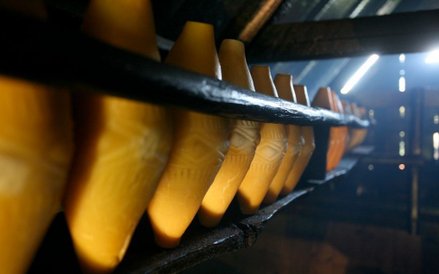 Kiedy owce są na halach, pasterz zaczynają prace od czwartej rano, bo trzeba wydoić zwierzęta, zająć