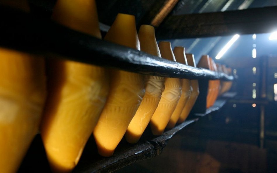 Kiedy owce są na halach, pasterz zaczynają prace od czwartej rano, bo trzeba wydoić zwierzęta, zająć