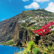 Madera znana jest z tego, że rośnie na niej wiele gatunków kwiatów, w tym strelicje