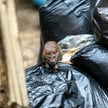 Gdańsk przeciw gryzoniom. Ruszyła kampania pod hasłem „Szczur ma nosa”