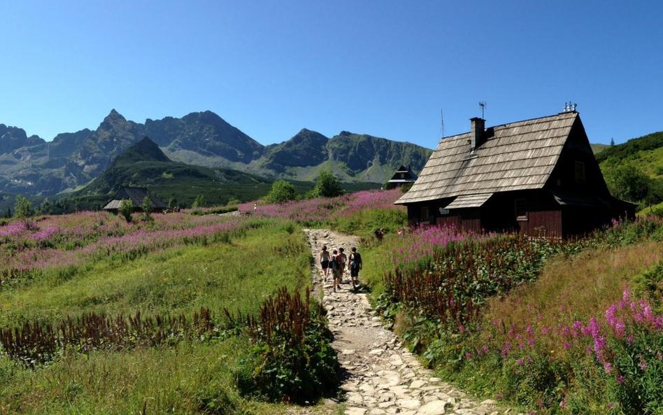 Zakopane skusiło najwięcej turystów