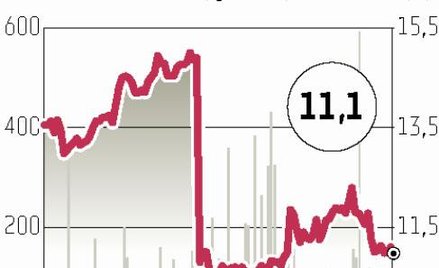 Cersanit: Więcej akcji w obrocie