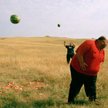 Polskie młode kino w Moskwie