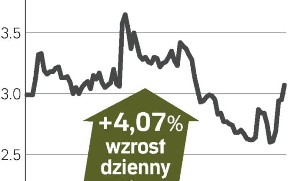 Cognor kurs akcji w górę