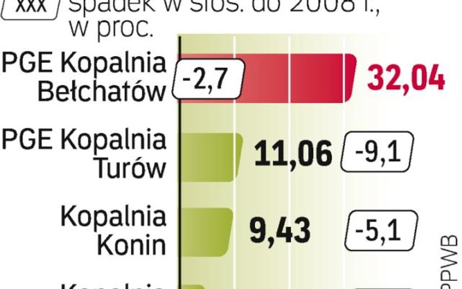 Brunatne kopalnie odczuły spadek zapotrzebowania na energię. Aż 35 proc. z niej pochodzi z węgla bru