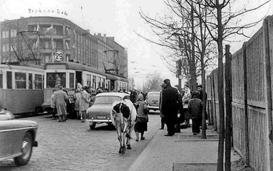 Warszawska ulica, 1962 r.