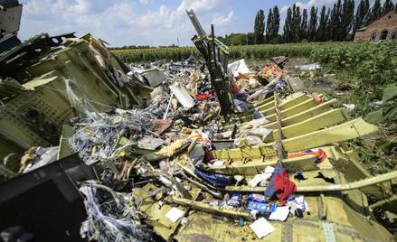 Wojsko i policja w składzie komisji badającej katastrofę MH17