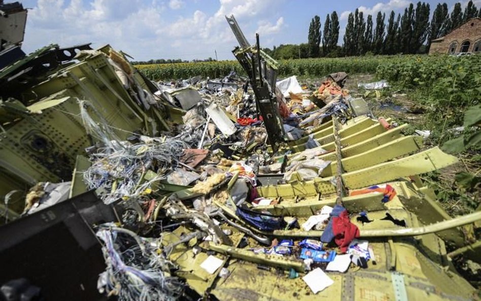 Wojsko i policja w składzie komisji badającej katastrofę MH17