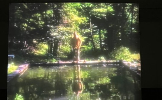 Bill Viola, kadr z "The Reflecting Pool" (1977-2014)
