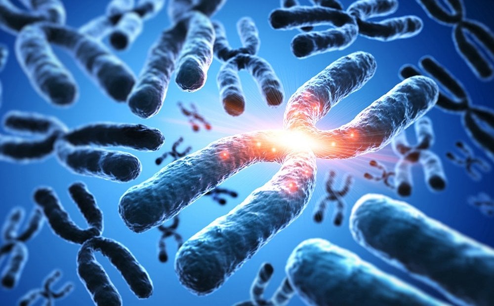 Szybka diagnoza skutków promieniowania. Tak działa program MaksChroms
