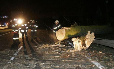 Kto pownien dbać o stan drogi publicznej