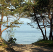 Mierzeja Wiślana