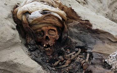 Peru: 227 zakopanych ciał dzieci. Złożono je w ofierze