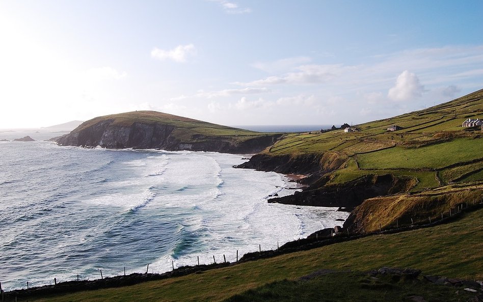 W Irlandii pracują ekspatrianci podobną liczbę godzin, co na Cyprze - ok. 41,5 w tygodniu.