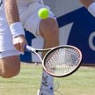 Tenis: Trawa nie więdnie