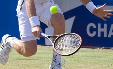 Tenis: Trawa nie więdnie