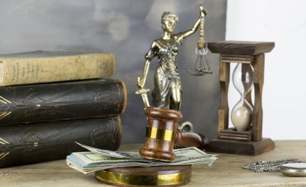 Irena Kamińska: Władza walczy z nieistniejącą w sądach korupcją