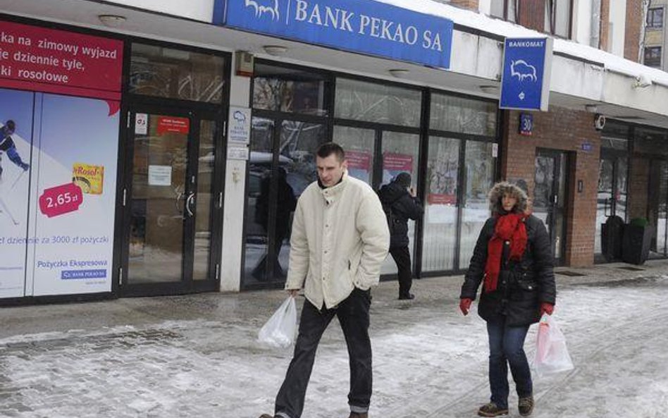 Bank zakłada, że w 2010 roku całkowita akcja kredytowa w sektorze bankowym urośnie o 5,2 procent