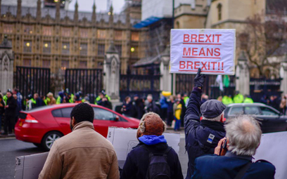 Andrzej Bryk: Brexit - stary świat traci wiarygodność