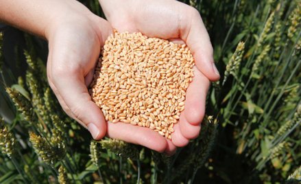 Wróci handel wymienny?