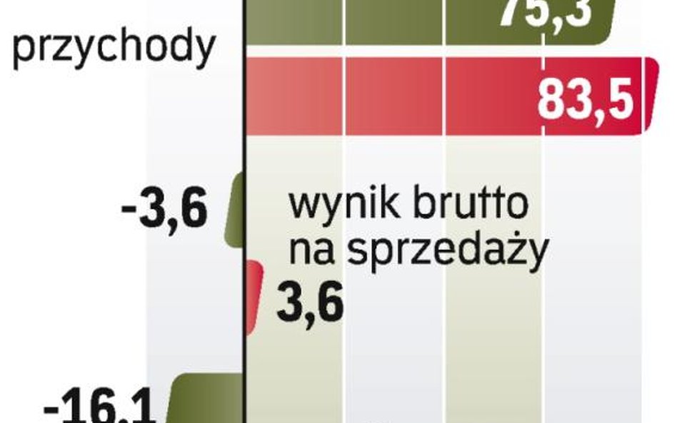 Przychody Sfinx Polska rosną, ale nie było szans na zyski z powodu kosztownej obsługi zadłużenia.