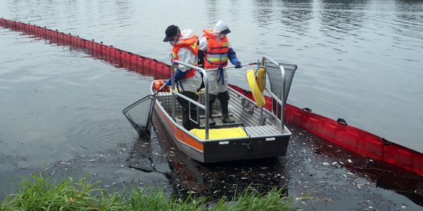Odra wraca do życia po katastrofie: pełna regeneracja potrwa kilka lat