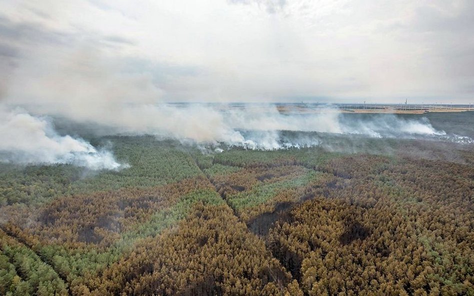 Niemcy: Pocisk armii trafił we wrzosowisko. Pożar spowodował ogromną emisję CO2