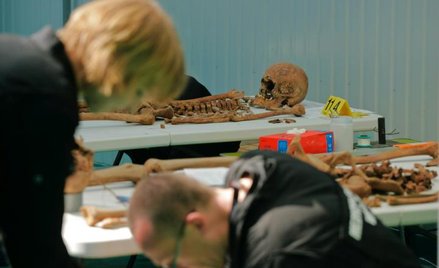 Od 20 sierpnia naukowcy z Polskiej Bazy Genetycznej Ofiar Totalitaryzmów nie prowadzą nowych badań i