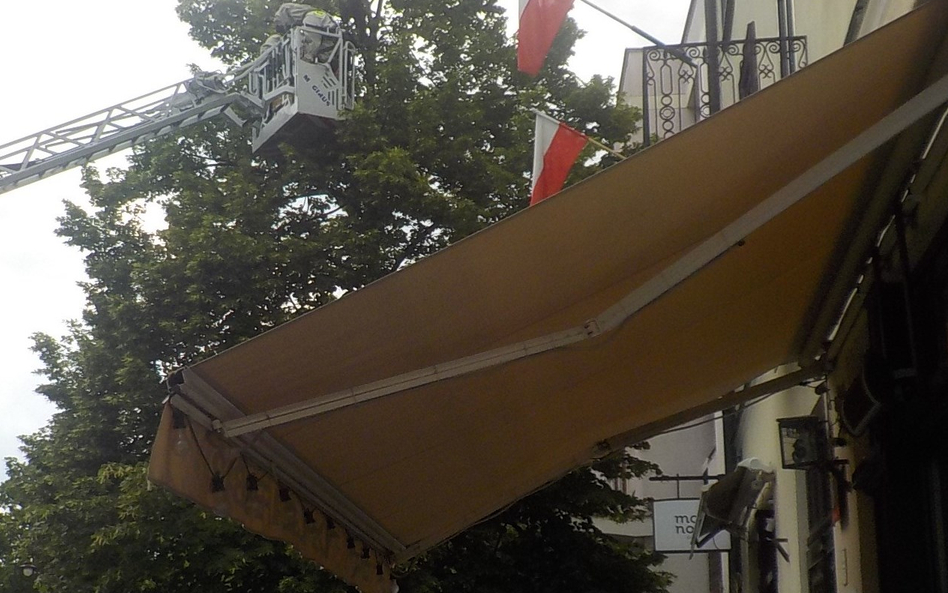 Dzięki wygrodzeniu terenu nikt z postronnych nie został użądlony mimo sporego zainteresowania public