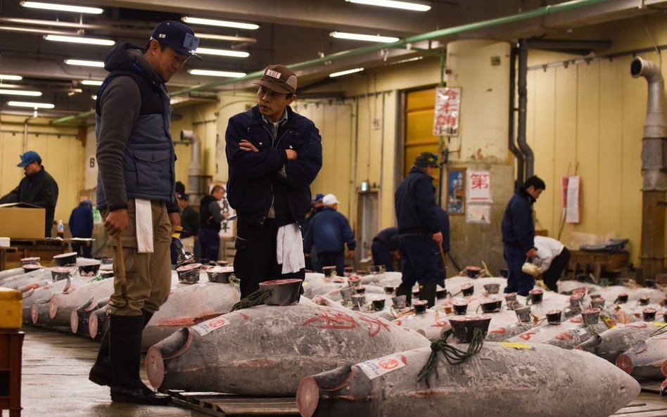 Pierwsza aukcja tuńczyków w 2017 roku na tokijskim targu Tsukiji